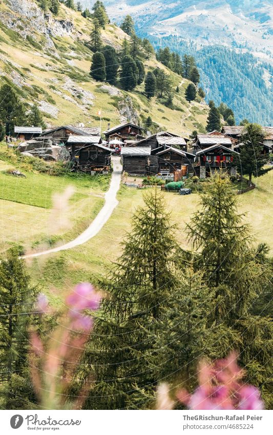 kleines Dorf in denAlpen Zermatt wallis Häuser Bäume Wald Steine