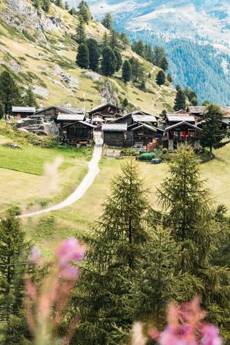kleines Dorf in denAlpen Zermatt wallis Häuser Bäume Wald Steine