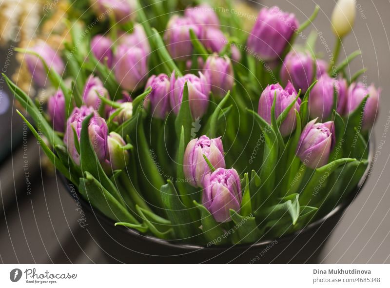Blumenstrauß aus lila Tulpen in einem Eimer im Blumenladen. Floristik und Verkauf von Blumen kleines Geschäft. Violett lila Lavendel Farbe Tulpen Frühling floralen Hintergrund.