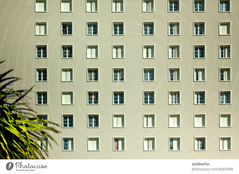 Marseille / Fensterfront mit Palme in der Ecke architektur ferien frankreich innenstadt marseille mittelmeer provence reise sonne stimmung urban urlaub winter