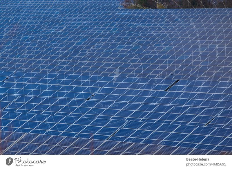 Die Alternative der Zukunft Solaranlage Solarpanele Alternative Energie Energiekrise Energiewirtschaft umweltfreundlich ökologisch Ressource Erneuerbare Energie