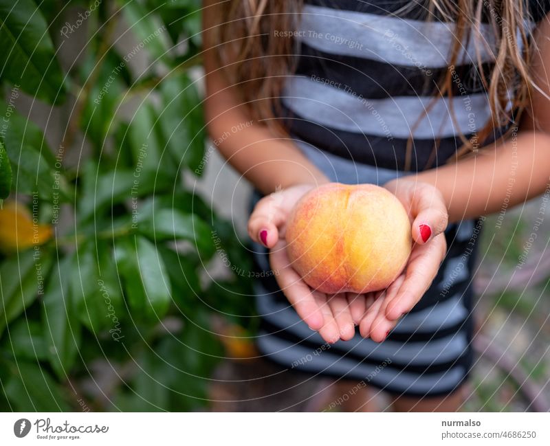 Frucht Hände ernte pfirsich öko ökologisch sauber natürlich kind zeigen gelb orange finger mensch freude sommer wärme vitamine fruchtfleisch kern