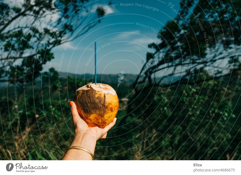 Hand hält eine Trinkkokosnuss vor tropischer Landschaft Tropen Kokosnuss Urlaub trinken gesund Strohhalm Sommer Ferien & Urlaub & Reisen Getränk Natur exotisch