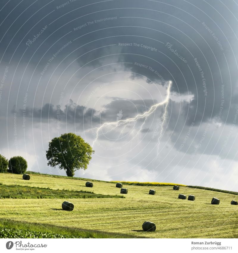 Sommergewitter Blitzschlag Donner Gewitter Wolken Feld Ernte Heuballen Linde Sonnenlicht Tag grün Landwirtschaft Heuernte Wetter Stimmung Gewitterstimmung