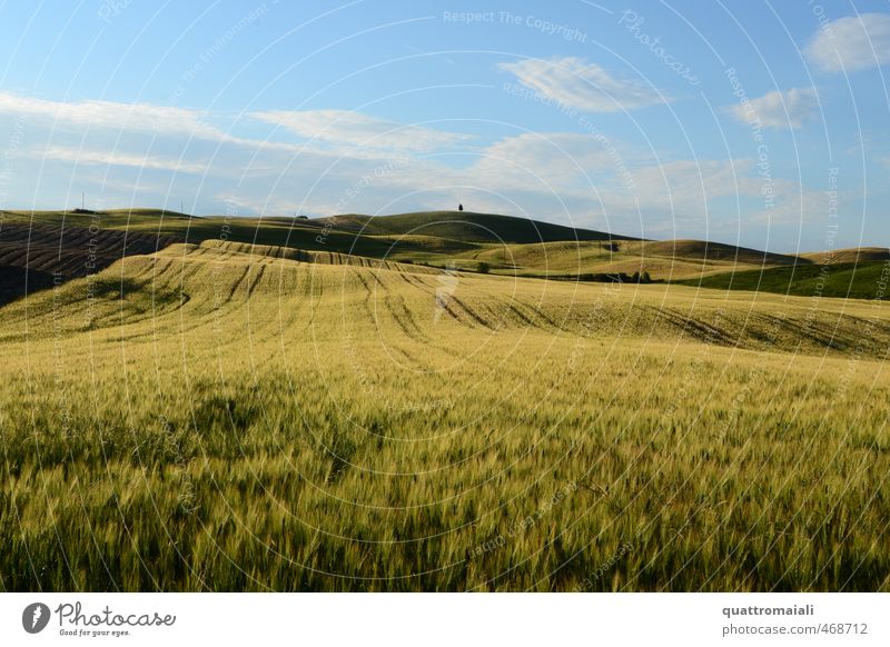 Getreidefeld in der Toskana Ferien & Urlaub & Reisen Ferne Freiheit Sommer Umwelt Natur Landschaft Horizont Schönes Wetter Feld Hügel blau gelb gold Einsamkeit