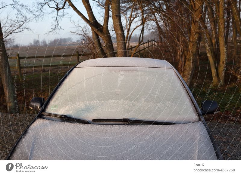 zugefrorenes Auto- nun ist´s doch kalt geworden Landschaft Bäume Zaun PKW Frontscheibe Motorhaube von vorne Eis Frost Winter vereist frieren Winterstimmung
