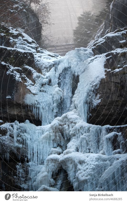 Vereister Wasserfall bei Hallstatt in Österreich verwist Eis Winter Kälte Frost Landschaft kalt Natur frieren gefroren weiß Außenaufnahme Winterstimmung Raureif