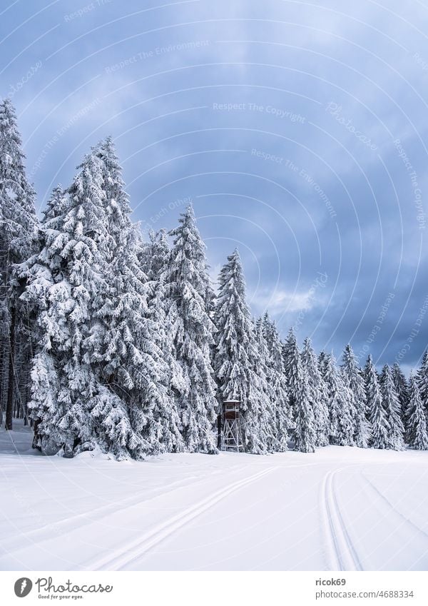 Landschaft im Winter im Thüringer Wald in der Nähe von Schmiedefeld am Rennsteig Schnee Thüringen Baum Natur Himmel Wolken blau weiß Frost kalt Urlaub Reise