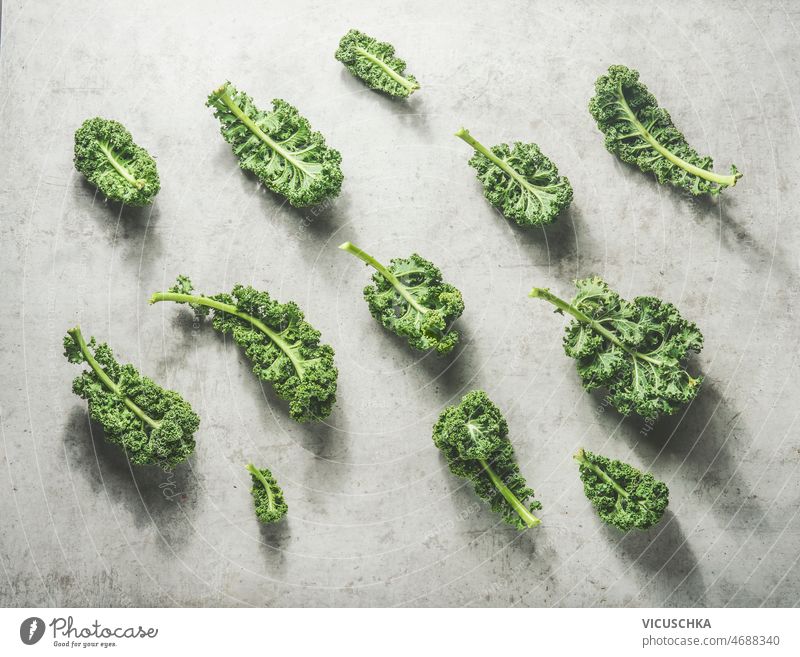 Grünkohlmuster mit rohen grünen Blättern auf grauem Betonküchentisch mit Sonnenlicht Kale Muster Grünkohlblätter Gesundheit saisonbedingt Winter Kohlgewächse