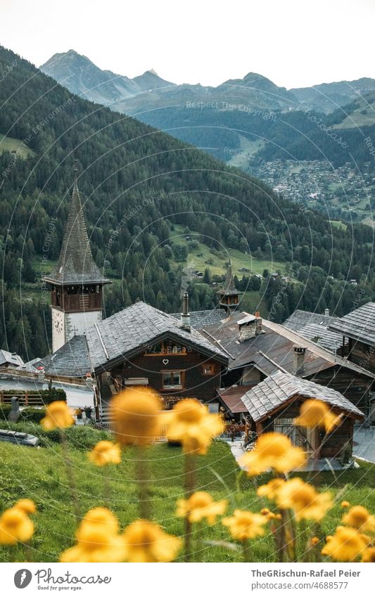 Kirche und Blumen vor Bergen Haus Häuser Dorf wallis steindach gelb Berge u. Gebirge Wald val d'anniviers
