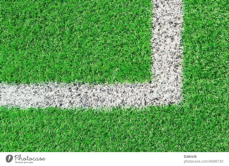 Grünes Gras auf Sportplatz mit weißer Linie grün Feld Borte Fußball künstlich Stadion Kunstrasen Streichholz abschließen Amerikaner Herausforderung