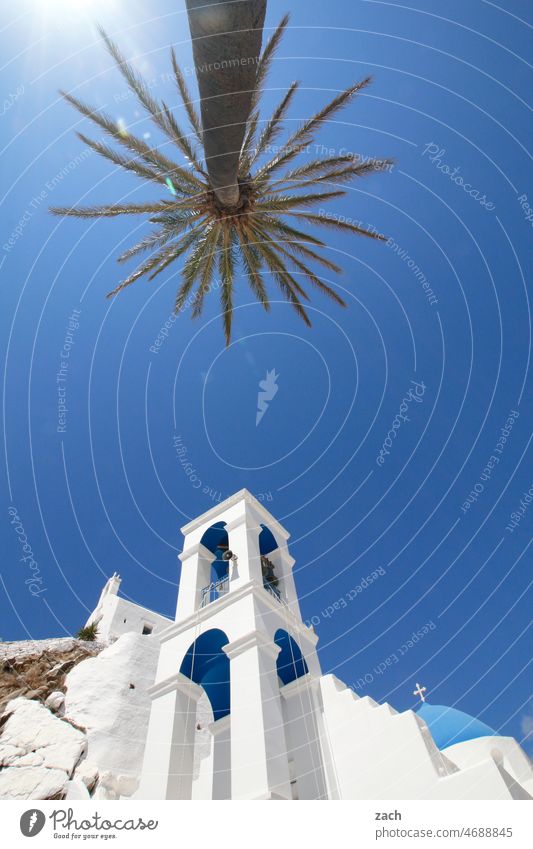 Palmsonntag Griechenland Kykladenarchitektur Himmel Häuser Kapelle Kirche blau Hügel Insel Ägäis Mittelmeer Schönes Wetter Ios Dorf Haus Turm Kirchturm Palme