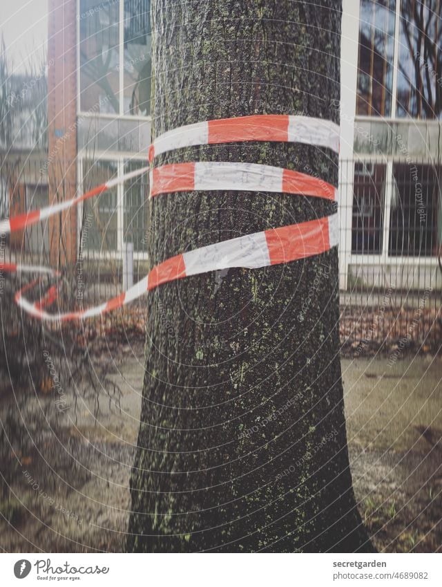 flatterhaft Baum Baumstamm Absperrung Flatterband Gebäude abgesperrt Baustelle Sturm Unwetter provisorisch Schutz Sicherheit Absperrband Barriere rot-weiß