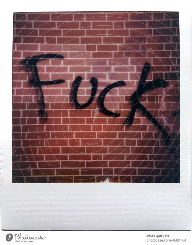 F*ck Put.in Fuck Graffiti Wand Polaroid analog Backstein Fassade Hauswand braun rot weiß schwarz Mauer Außenaufnahme Menschenleer Farbfoto Gebäude