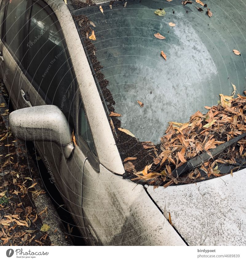 Fahrzeug tagsüber nach dem Sturm liegengeblieben Sturmschaden liegengelassen vergessen verloren verlassen Herbst Vergänglichkeit Tag silbergrau Herbstblätter