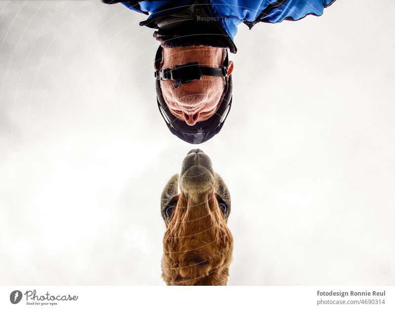 Begegnung eines Mountainbikers mit einem Lama auf Augenhöhe in Untersicht. Huftier Mensch Moutainbiker Radfahrer Gesicht Kopf Fell braun Nasen Himmel Wolken