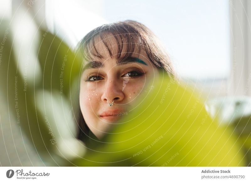 Frau bedeckt Gesicht mit grünem Blatt Pflanze Tierhaut Deckblatt Vorschein Sonnenlicht geblümt Raum Zimmerpflanze schauen Sie feminin positiv heimwärts Laubwerk