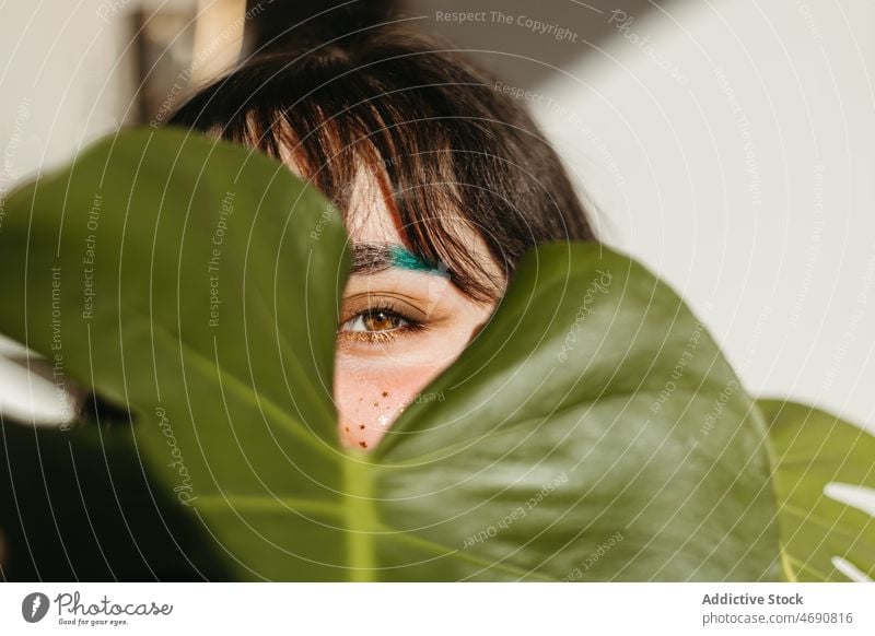 Frau bedeckt Gesicht mit grünem Blatt Pflanze Tierhaut Deckblatt Make-up Vorschein Sonnenlicht geblümt Raum Zimmerpflanze schauen Sie feminin positiv heimwärts