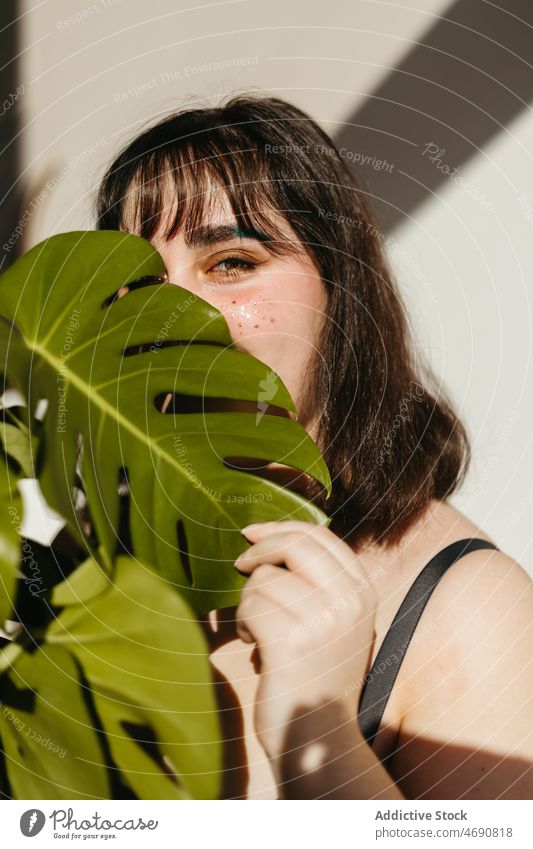 Frau bedeckt Gesicht mit grünem Blatt Pflanze Tierhaut Deckblatt Make-up Vorschein Sonnenlicht geblümt Raum Zimmerpflanze schauen Sie feminin positiv heimwärts