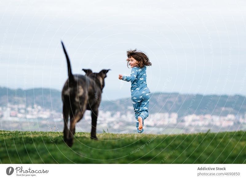 Anonymes Mädchen spielt mit Hund auf Rasen Kind spielen amerikanischer Pitbull-Terrier Tier Haustier spielerisch Säugetier Zeitvertreib Stammbaum züchten