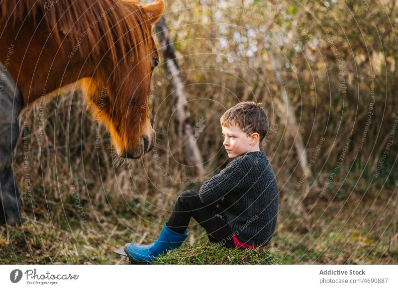 Niedlicher Junge sitzt in der Nähe von Pferd Kind Landschaft Tier pferdeähnlich sitzen Säugetier Gras domestiziert züchten Zoologie niedlich Mähne gehorsam