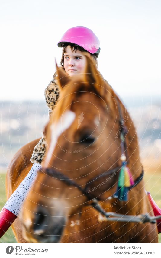 Entzücktes Mädchen reitet auf einem Pferd in der Natur Kind Mitfahrgelegenheit Kindheit Landschaft Tier Pferderücken üben Freizeit Glück Zeitvertreib
