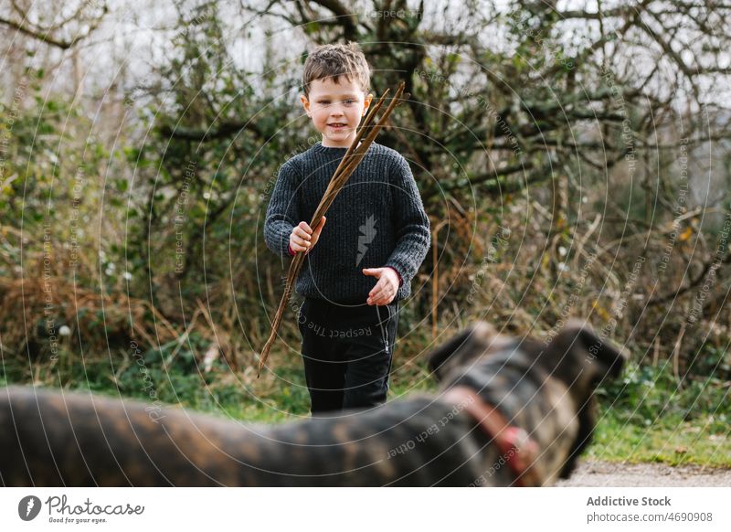 Junge spielt mit Hund auf dem Lande Kind amerikanischer Pitbull-Terrier Tier spielen spielerisch kleben Landschaft Haustier Kindheit Rasen ländlich Eckzahn