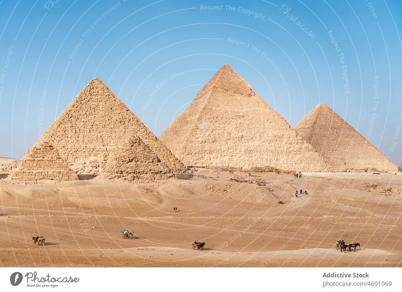 Ägyptische Pyramiden in Gizeh Ägypter antik Kultur wüst Erbe Natur Reisender historisch alt Antiquität Sightseeing Ausflugsziel Tourismus Ägypten Historie
