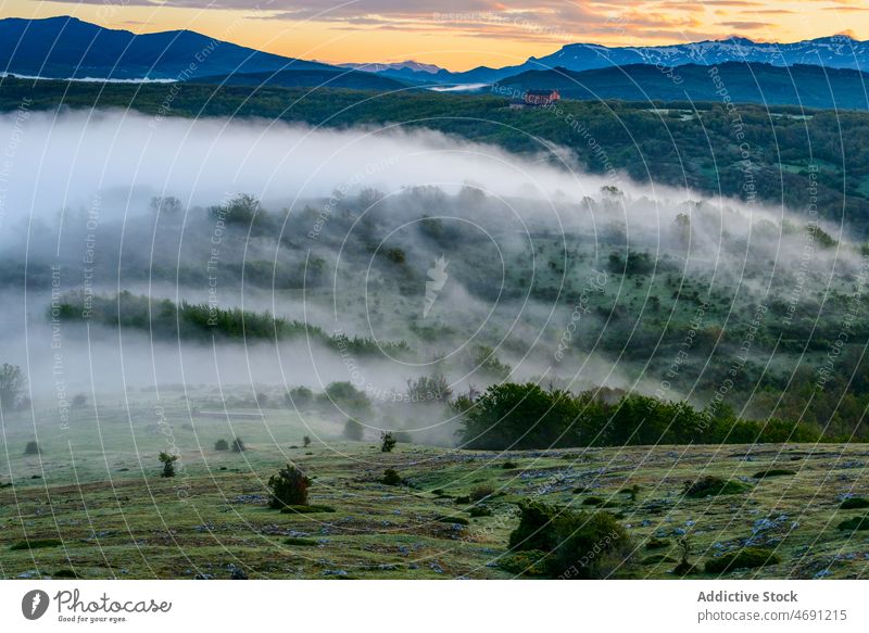 Ein nebelverhangenes Gebirgstal bei Sonnenuntergang Berge u. Gebirge Landschaft Spanien Tal Natur Cloud Baum Palentiner Gebirge Ambitus Berghang Hochland Himmel