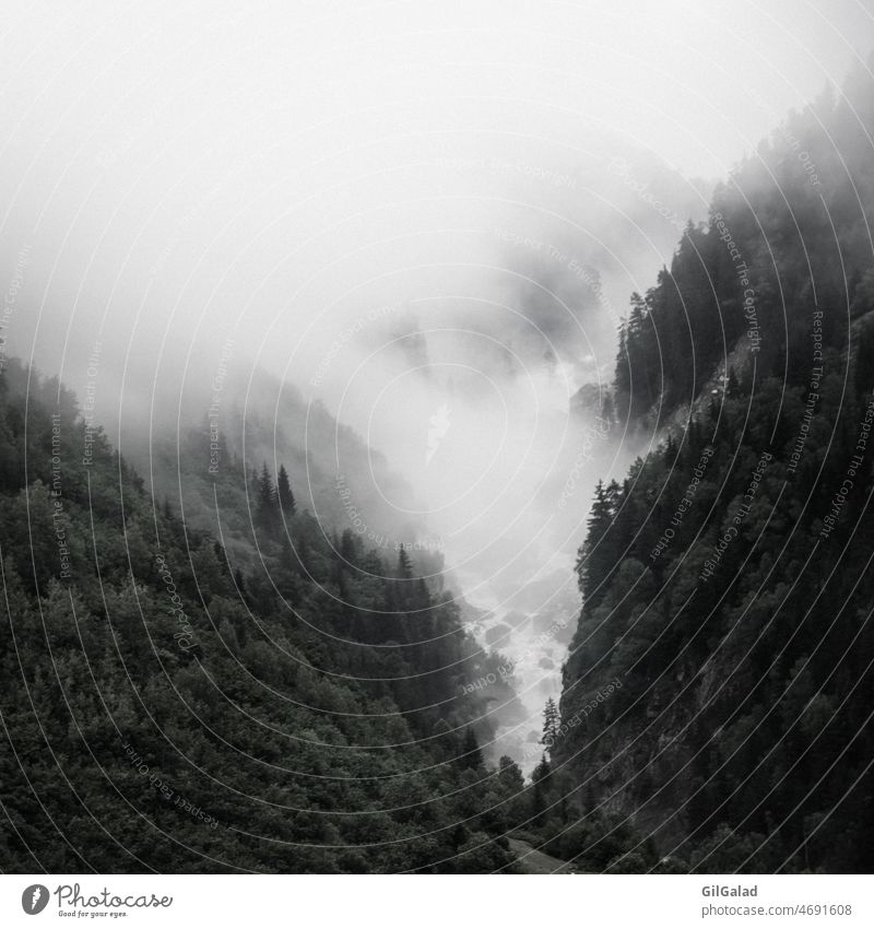 Wald und Berge im Nebel Schwarz-Weiß Swanetien Georgien Landschaft Wasser Wasserfall Steine Quadrat Grün