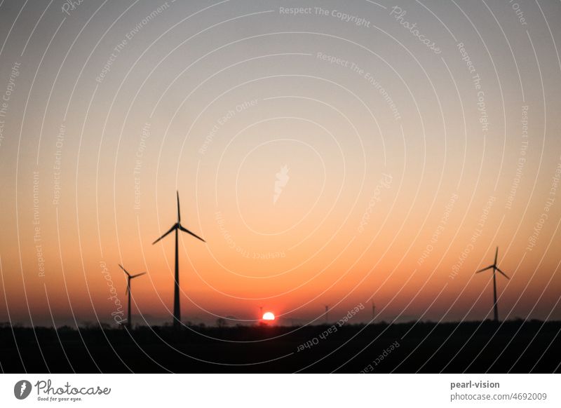 Windräder bei Sonnenaufgang Sonnenlicht Gegenlicht Sauberkeit Technik & Technologie Elektrizität Rotor alternativ Industriefotografie wolkenlos Windrad Energie
