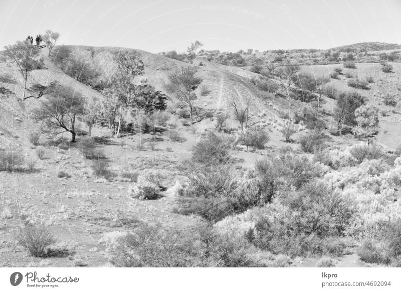 wilde Natur und Outback im Meteoritenfall Australien henbury Einschlag Krater Himmel Landschaft nördlich abgelegen Geologie natürlich hell Tag antik eine Bäume