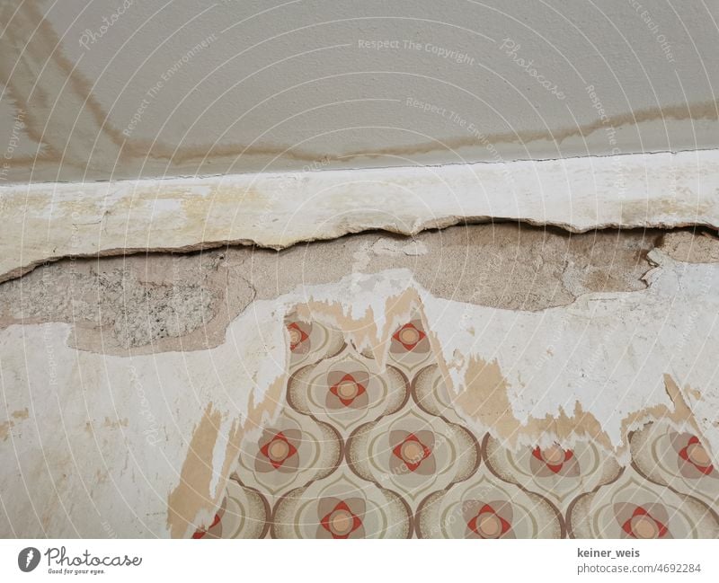 Wasserschaden an der Decke und Wand in einem Wohnraum mit Dachschaden oder nach Rohrbruch Wandputz Altbau Tapete Raumdecke Malerarbeiten Wohnraumdecke Putz