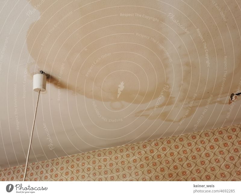 Wasserschaden an der Decke in einem Wohnraum und Altbau mit undichtem Dach Rohrbruch Raumdecke Wohnraumdecke Lampe Tapete Wand Feuchteschaden Mauer Handwerk
