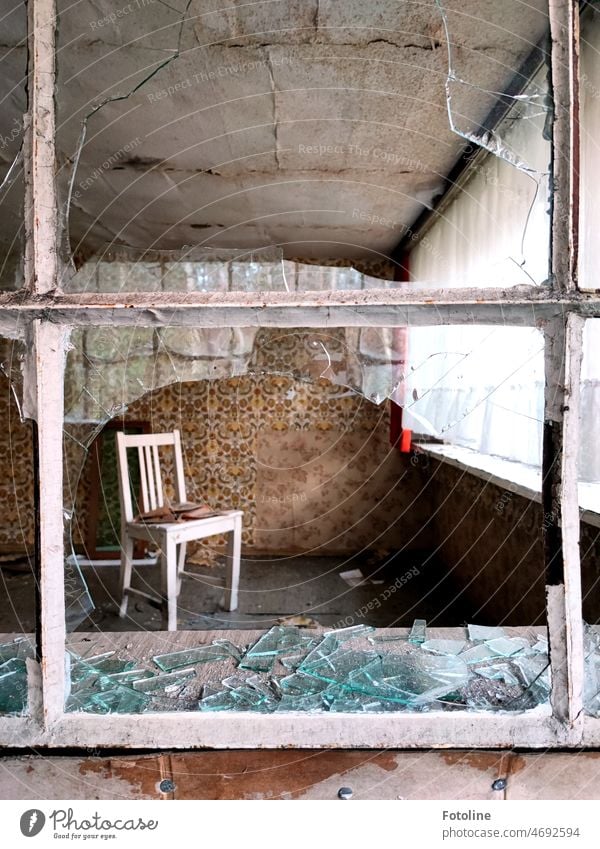 Nur noch ein Stuhl und Gardinen erinnern in diesem Zimmer daran, dass es hier mal heimelig war. Doch auch in diesem Lost Place waren Vandalen auf Zerstörung aus und zertrümmerten alle Scheiben. Schade!