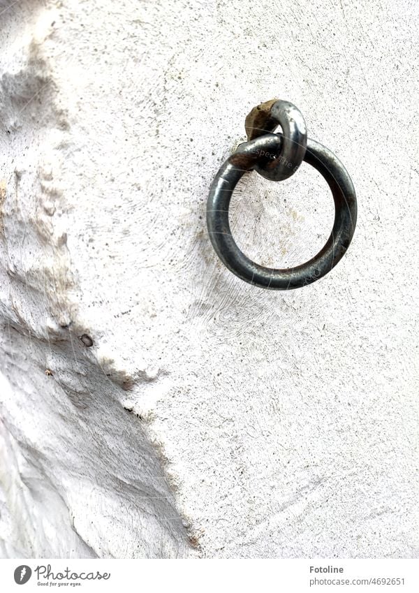 Ein Metallring, befestigt an einer weiß getünchten Mauer, aus der schon ein Stück herausgebrochen ist. Ring Eisen Stahl Wand grau Detailaufnahme Außenaufnahme