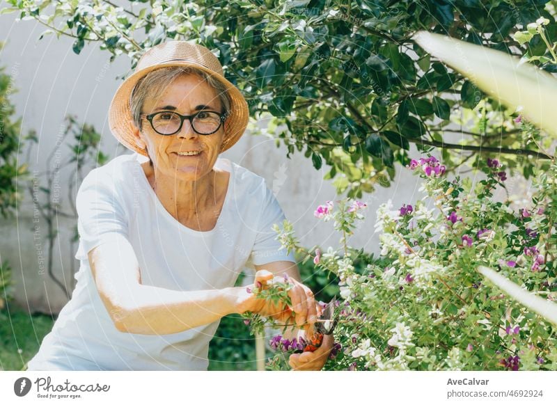 Porträt einer alten Frau bei der Gartenarbeit, die in der Freizeit in die Kamera lächelt. Freizeitbeschäftigung zu Hause. Rettet den Planeten, indem sie Pflanzen pflanzt. Planet betrifft. Reife Menschen arbeitet zu Hause