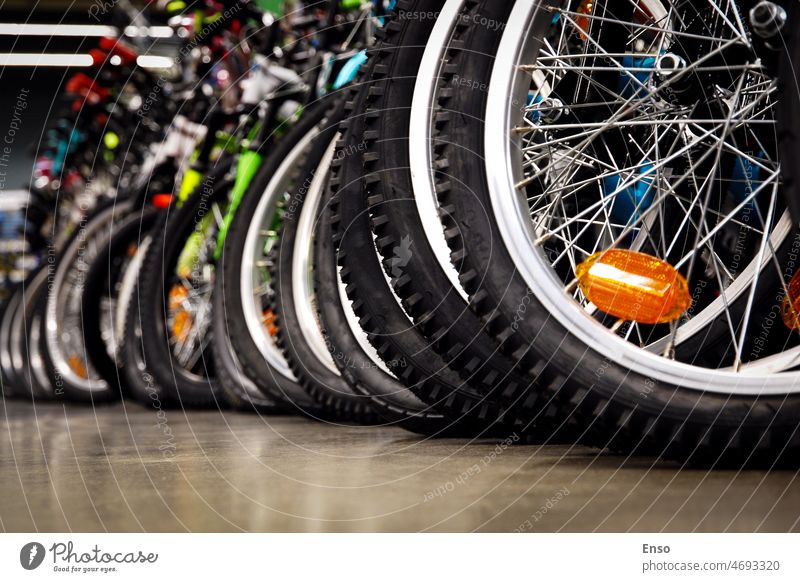 Fahrräder in einem Sportgeschäft, Reifen in Großaufnahme, Fahrradräder in einer Reihe in einem Fahrradgeschäft Rad Werkstatt Laden Sale Fahrradfahren Sommer