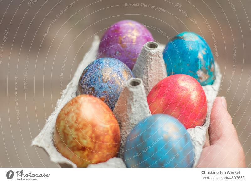 Bunt gefärbte Ostereier im Eierkarton Ostern Osterfest gefärbte Eier verschenken Eier färben bunte Eier Tradition Feste & Feiern Dekoration & Verzierung
