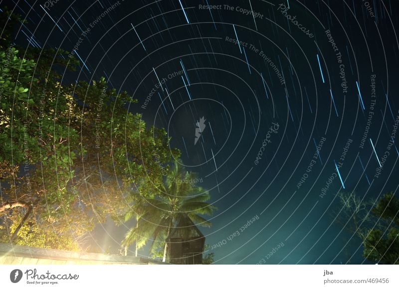 am Äquator harmonisch Erholung ruhig Umwelt Urelemente Luft Himmel Nachthimmel Stern Sommer Schönes Wetter Pflanze Baum Palme Urwald Indonesien Wasserturm Dach