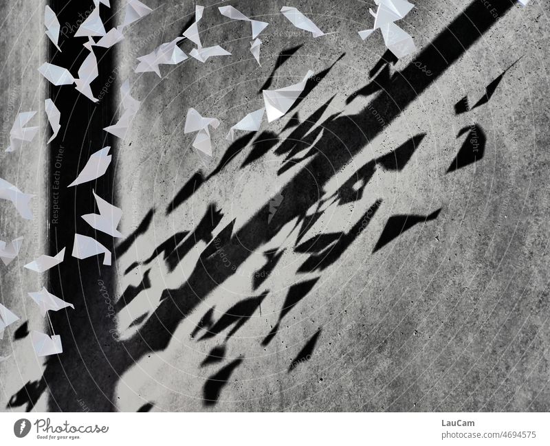 Kontrast: Weiße Friedenstauben aus Papier werfen dunkle Schatten an die Wand weiß kontrastreich Strukturen & Formen dunkel wand Licht abstrakt Hoffnung