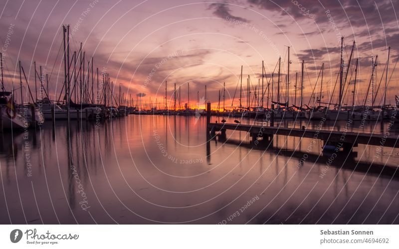 Silhouetten von Segelbooten und Masten im holländischen Hafen in der Abenddämmerung Sonnenuntergang Himmel Meer Sonnenaufgang Wasser Boot reisen Jachthafen
