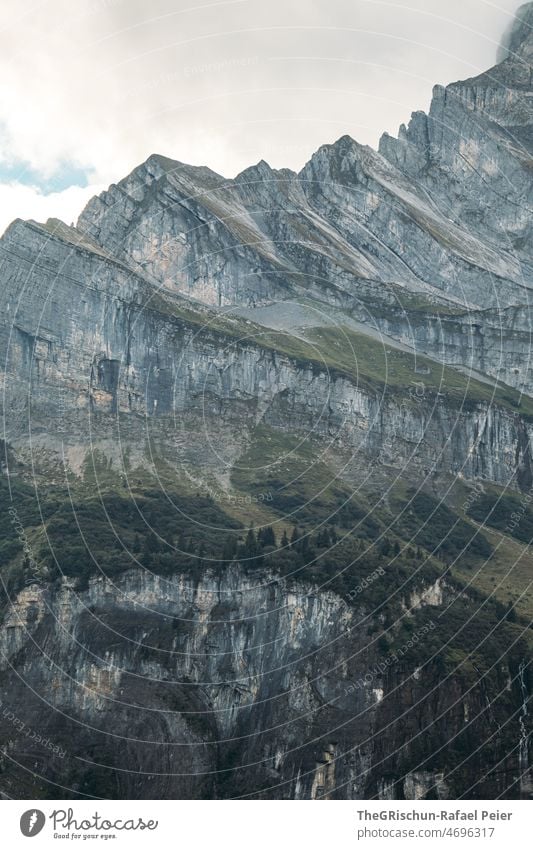 Felsformation Felsen Berge u. Gebirge Wald Natur Landschaft Außenaufnahme grün Menschenleer wandern Alpen Gipfel Umwelt