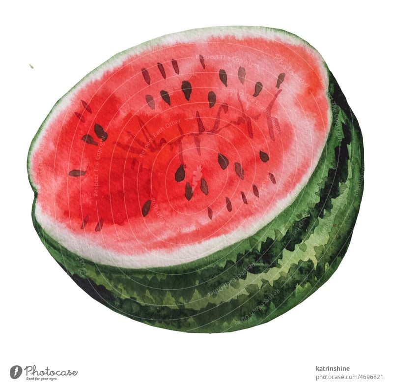 Die Hälfte einer roten, saftigen Wassermelone. Aquarell tropische Früchte Illustration botanisch geschnitten Dekoration & Verzierung Element exotisch fruitarian