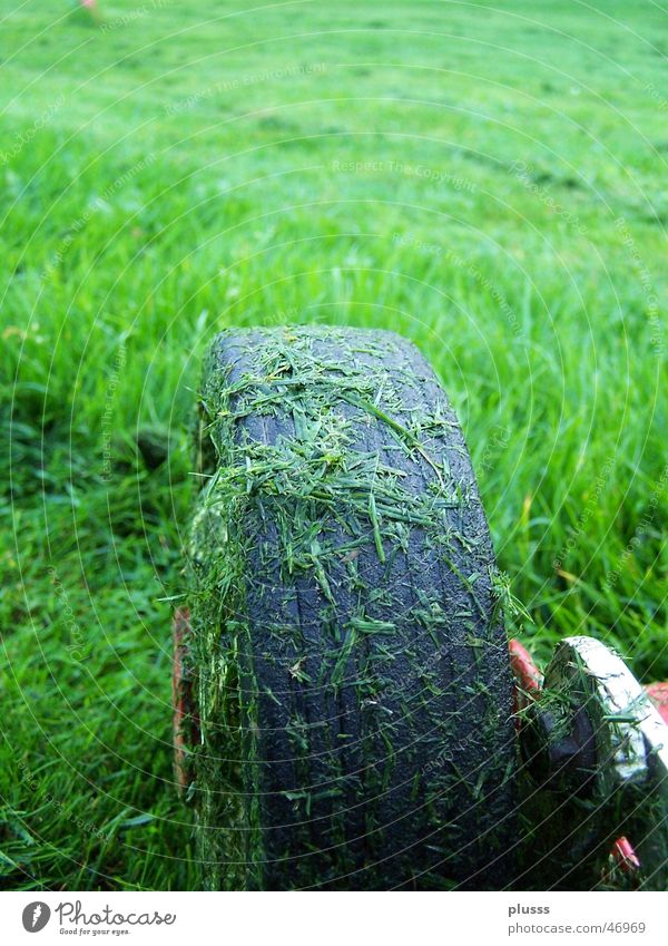 im vorwärtsgang Rasenmäher Gras nass Wiese grün Feld Halm Streifen Maschine Gummireifen dreckig hohes gras rollend Bewegung