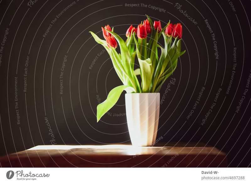 Eine Vase mit roten Tulpen auf einem Tisch angestrahlt von der Sonne Blumen Sonnenstrahlen Geschenk Frühling schön Dekoration & Verzierung Blumenstrauß