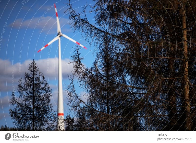 Windradwald windrad windradpark grüne energie strom ökostrom bäume