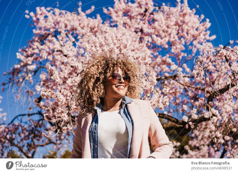 porträt einer glücklichen hispanischen frau mit afro-haar im frühling zwischen rosa blumen. sonnige natur Afro-Look Frau Frühling Blumen Porträt abschließen