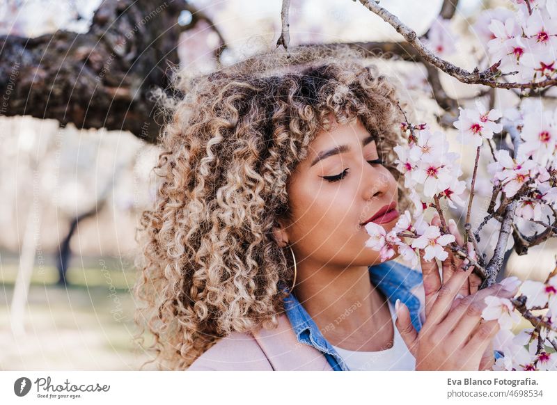 Porträt der schönen hispanischen Frau mit Afro-Haar im Frühling duftenden rosa Blüte Blumen. Natur Afro-Look abschließen Mandelbaum farbenfroh krause Haare