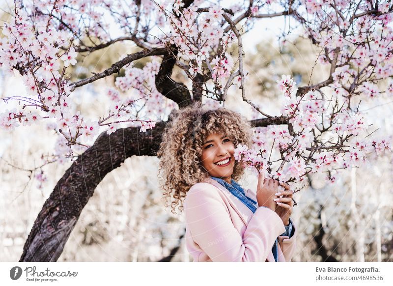 porträt einer schönen hispanischen frau mit afro-haar im frühling zwischen rosa blumen. natur Afro-Look Frau Frühling Blumen Porträt abschließen Mandelbaum